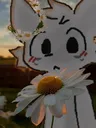 boykissergotawhitefower_3