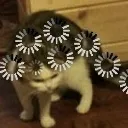 yukleniyor
