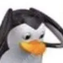 neee