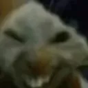 xdd