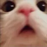 hhhh