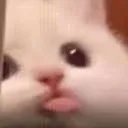 prttt