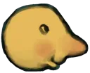 laz_burnu