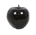 5216gothapple