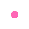 nokta
