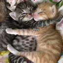 huggggg