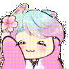 niri_tilkidans