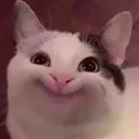 hehe