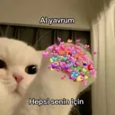 alyavrum