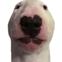 KoPek
