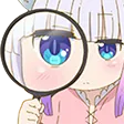 4591_kannazoom