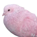 emoji_138
