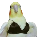 emoji_140