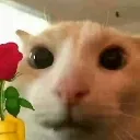emoji_150