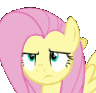 almlpflutterwhat