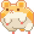 hamsterr