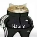 napim