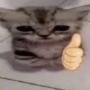 ok