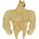 Doge