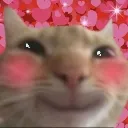 askkedi