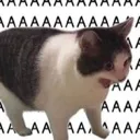 aaaaaa