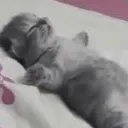 uyuyombenbb