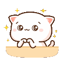54944owocatpeach