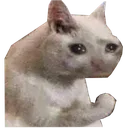 senidverim