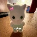 tenha_askim
