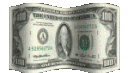 dolar_sanalv