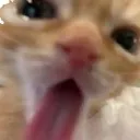 BLEH