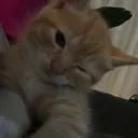hehe