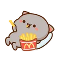 417238cateatingfries