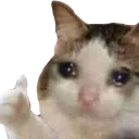 alyndys_aglayankedi