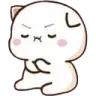 cat_kstm