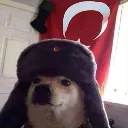 au