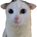 emoji_24