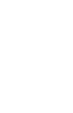 _buny