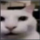 1380489388315901983