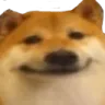dogeface