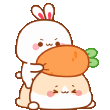 bunbonk6