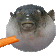 mehmetergeezer
