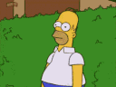 HomerSimpson