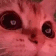 99124catsweet