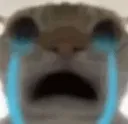 cryingcat