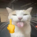 catlewfuc