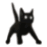 catspin