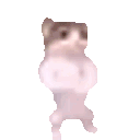 catfistbump