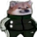 russiandoge