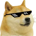 4554doge